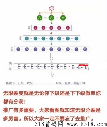香蕉任务平台靠谱吗？首码自动托管赚钱是真是假？