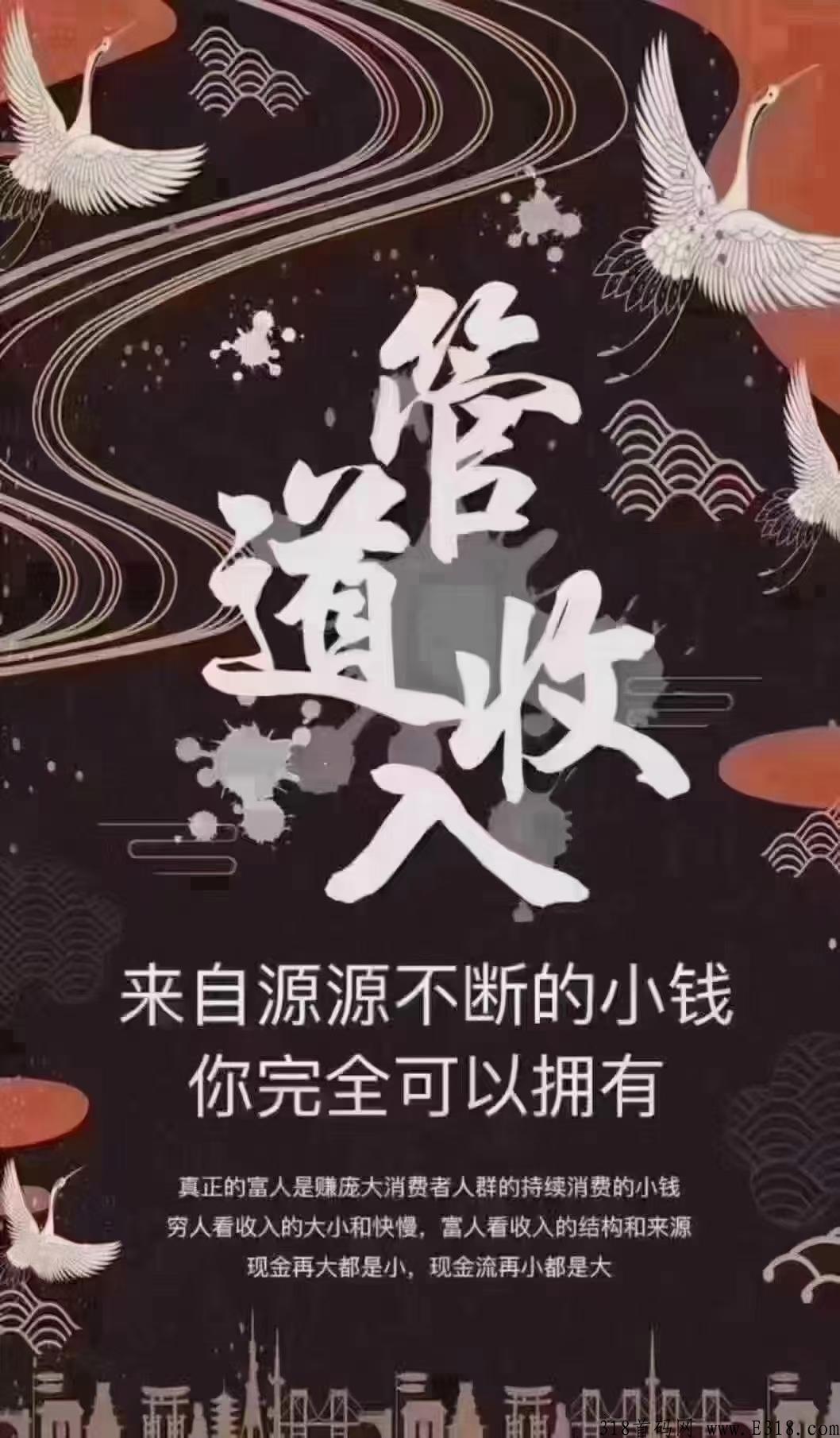 富络经典，首码上线，扶持最高收益返80%