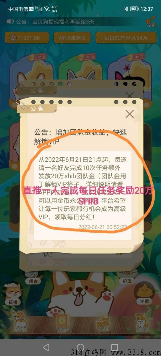 宝贝狗，首码项目每天分奖励，不推广也可赚米