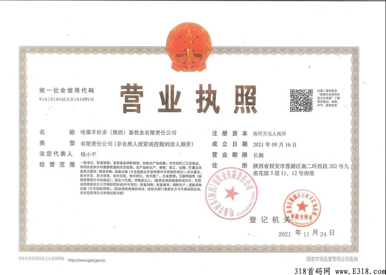 哇塞羊好多官方首码项目万人排线，一个有63亩项目用地支撑的零创平台