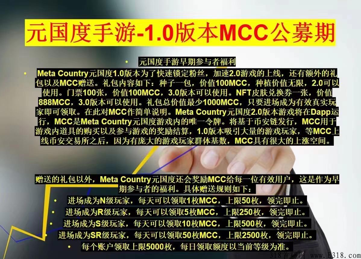 元国度，真的可以赚米，一个很稳定的项目