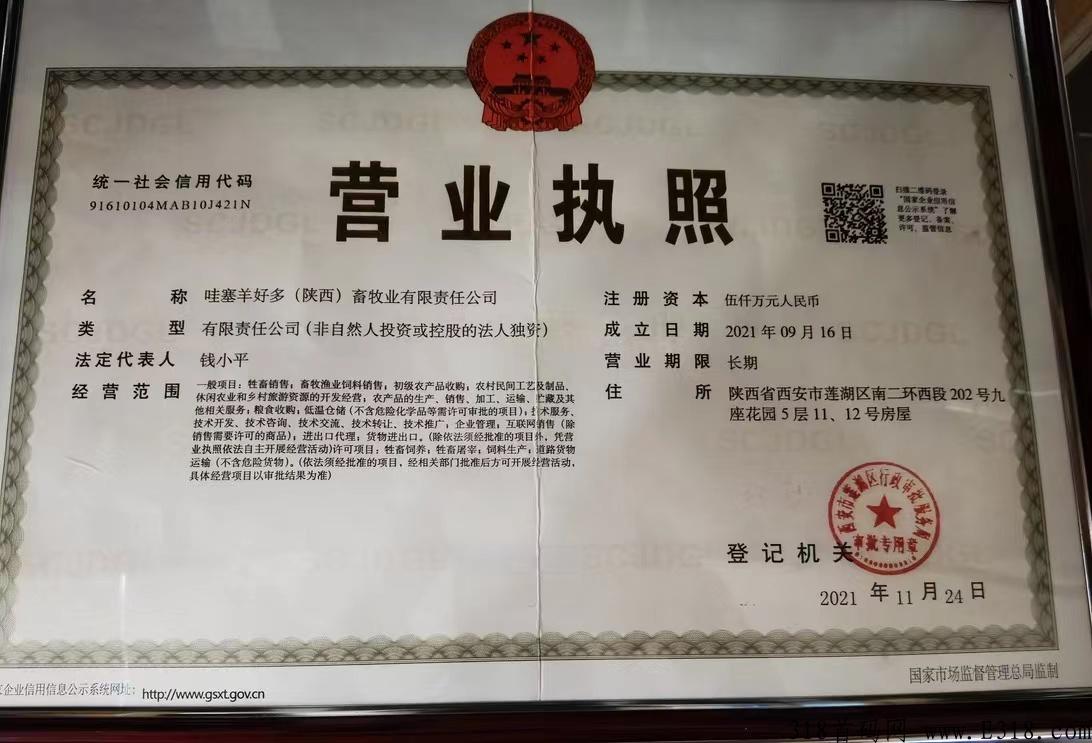 哇塞羊好多首码已上线，要找新项目的可以看过来！