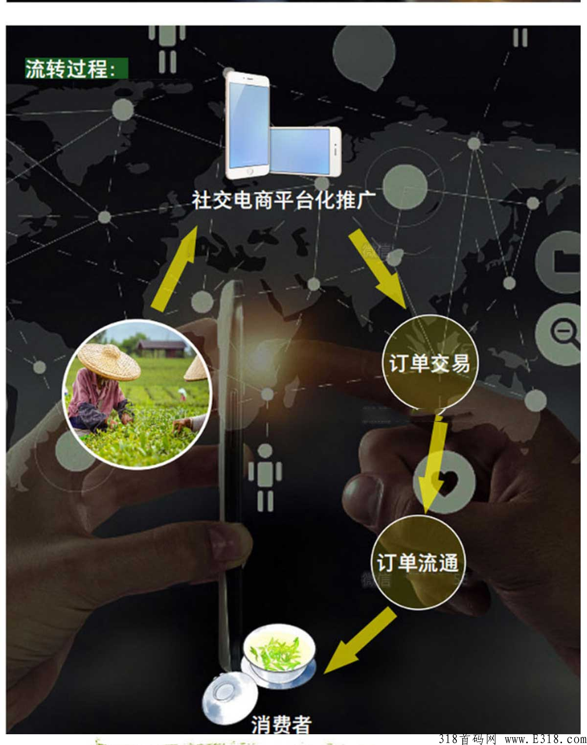 freemall茶宝模式靠谱吗，最新动态