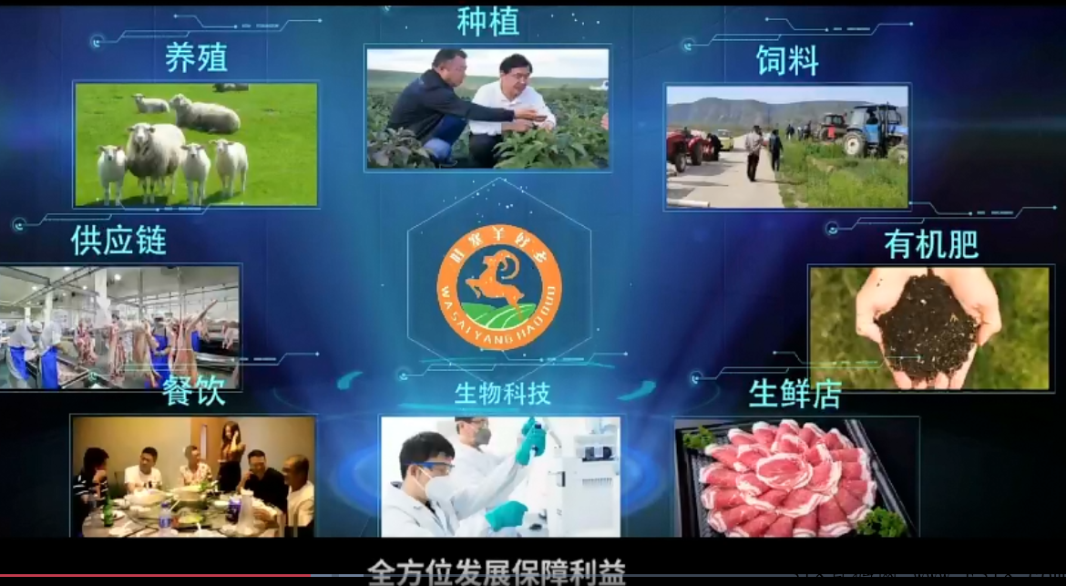 哇塞羊好多代扶持，官方兜底，首码排线，扶持多多