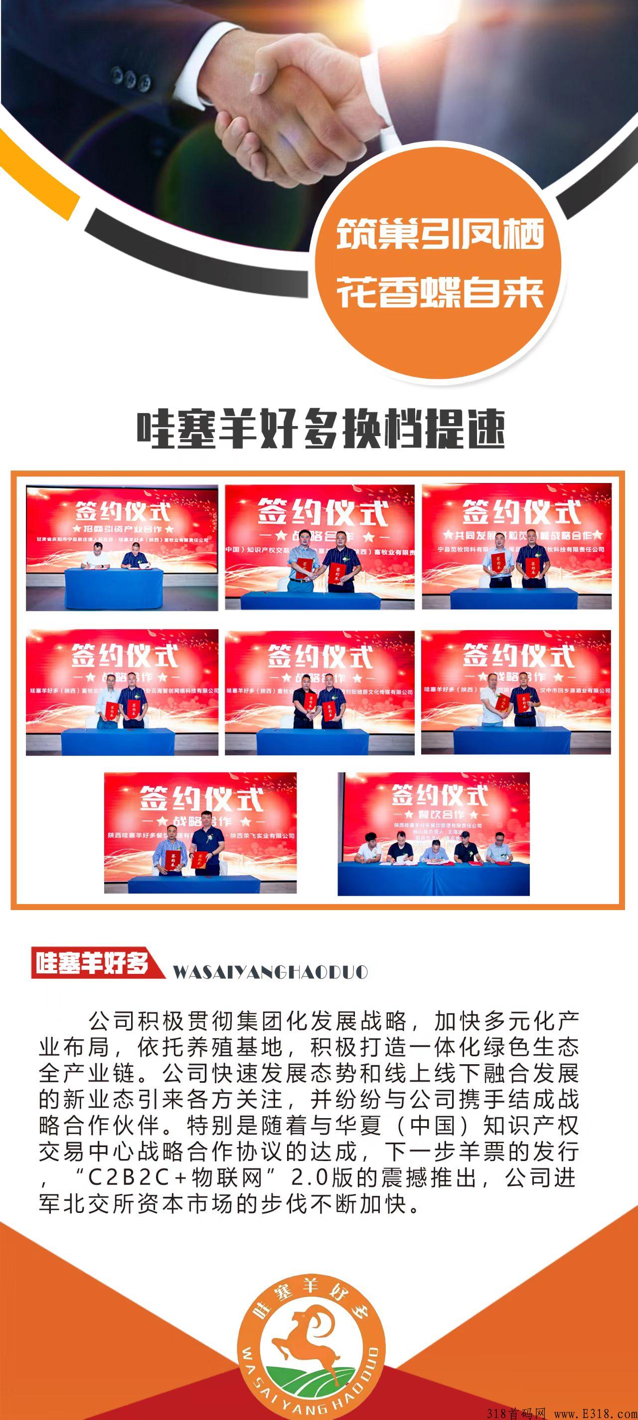 哇塞羊好多首码大区排线，扶持2兜底奖励