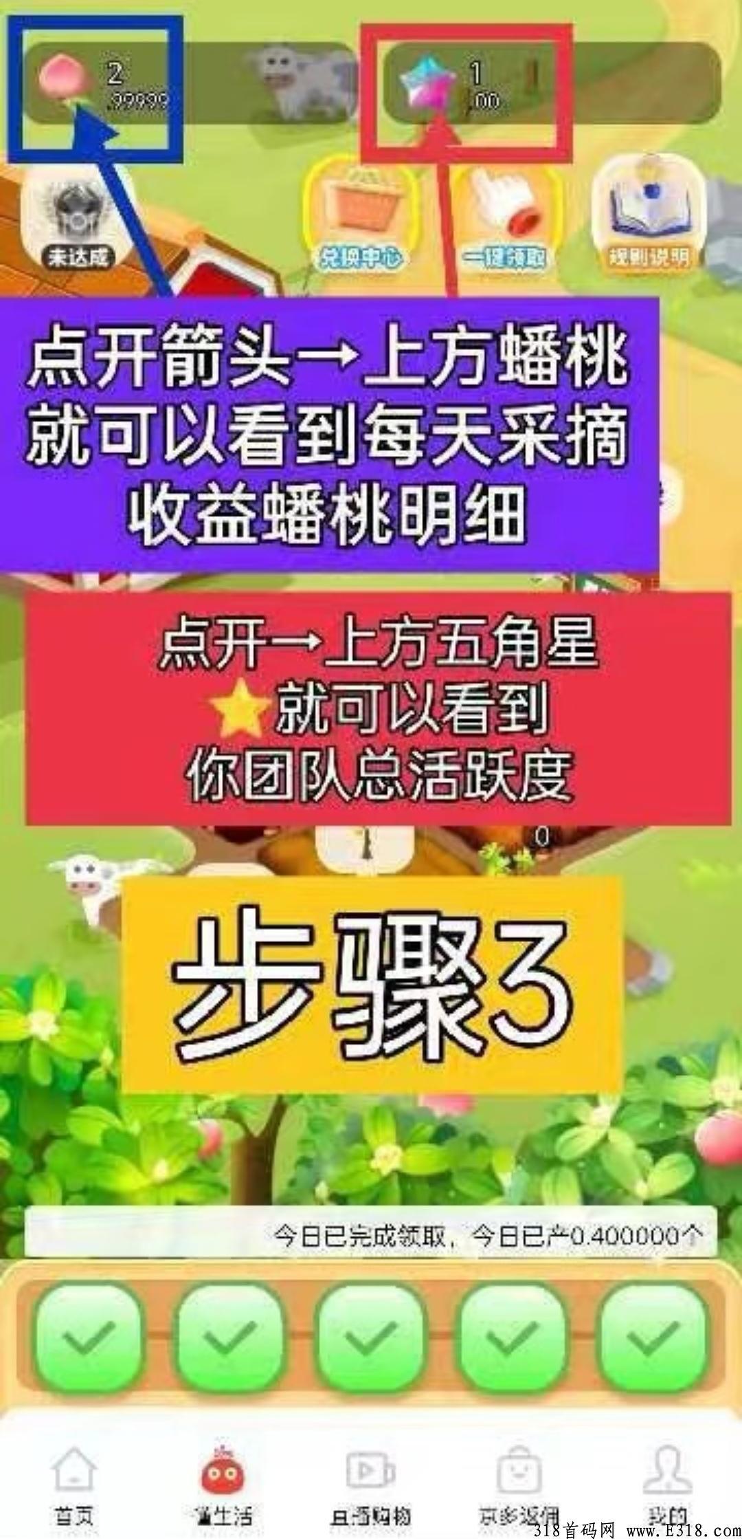 秋桔商城，已开交易最新火爆项目震撼上线，必将火爆全球