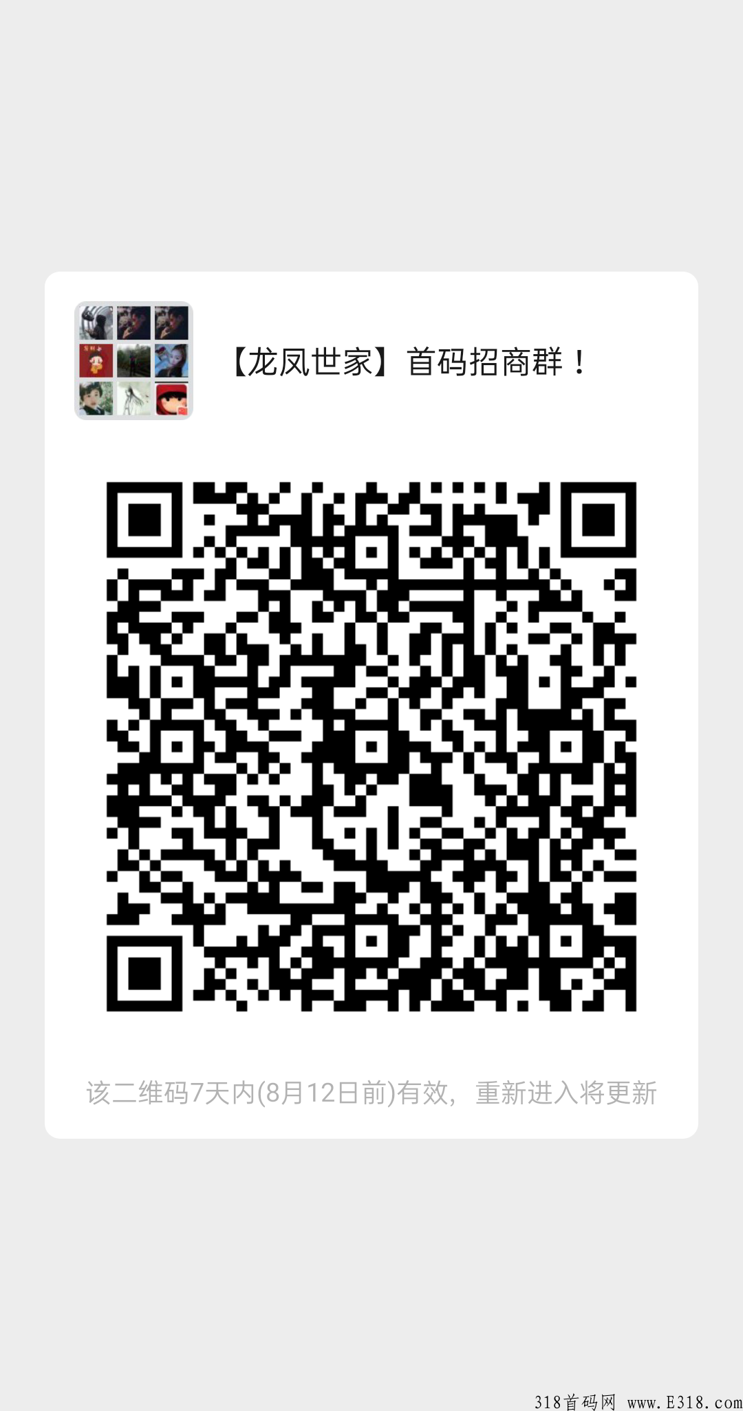 本月大项目【龙凤世家】全网招募团队长！