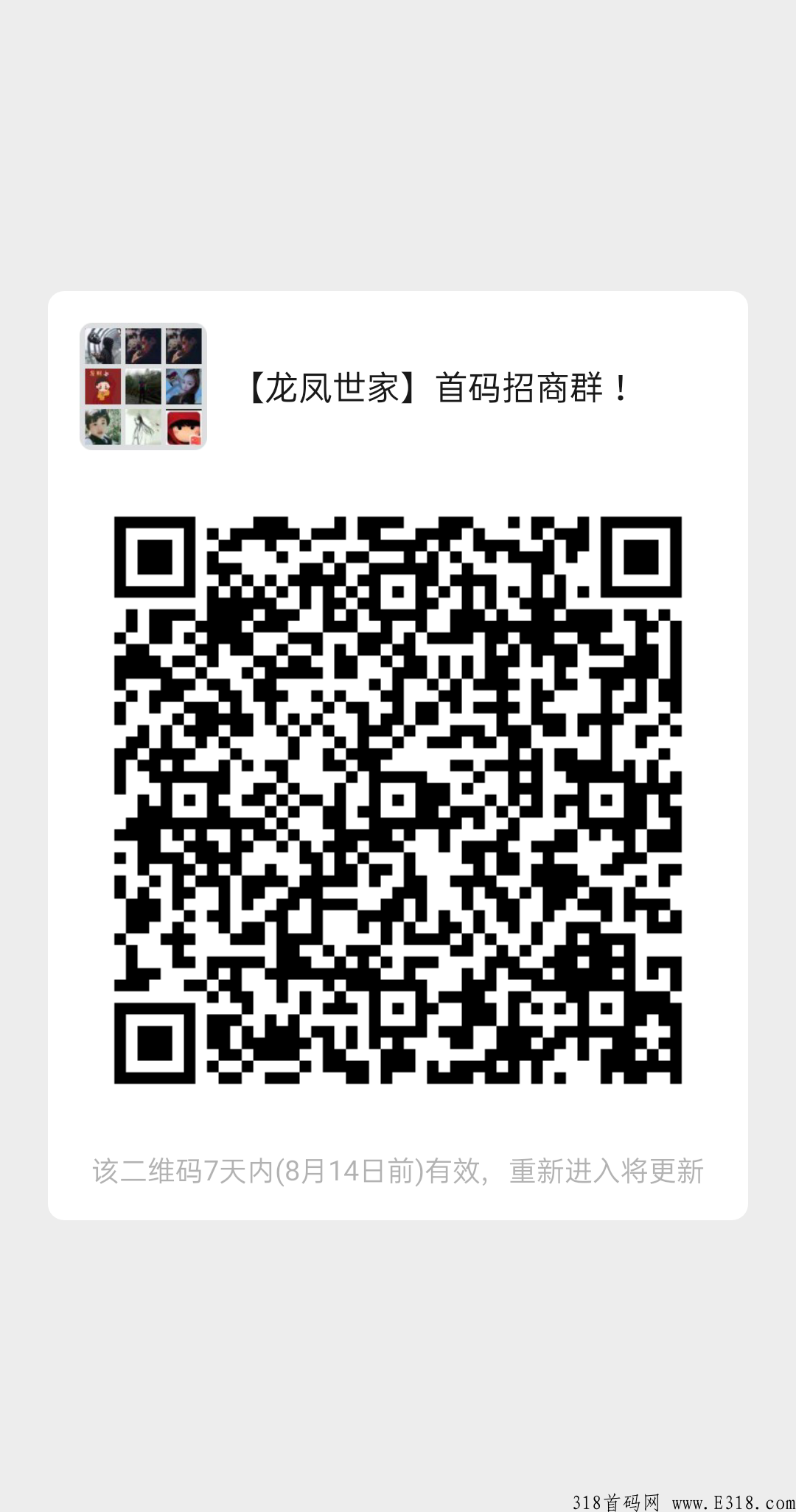 龙凤世家，全网招募团队长