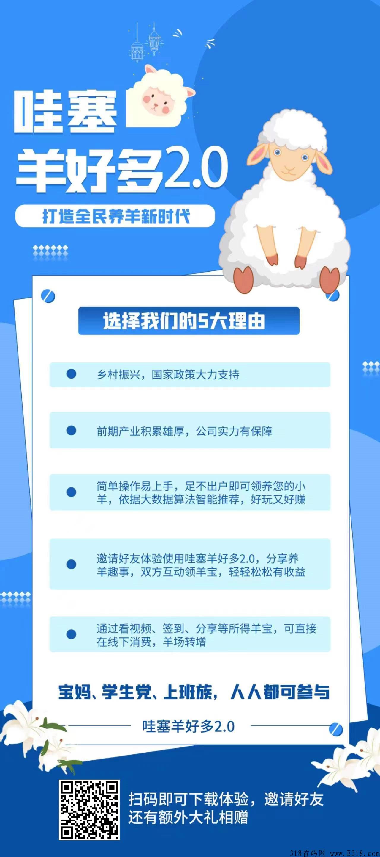 哇塞羊好多，卷轴项目代3，注册5复投5