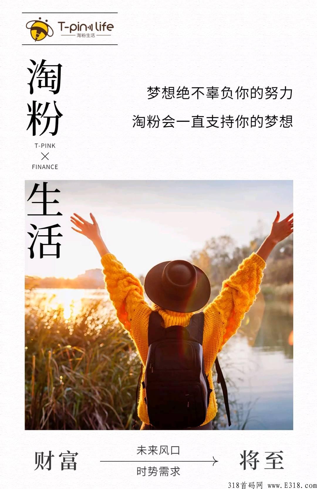 淘粉，今年神盘！赶紧上车