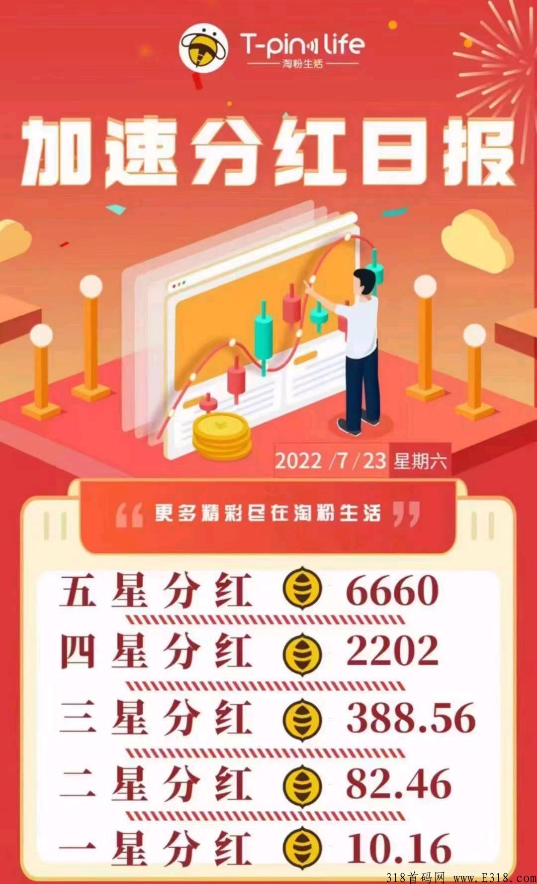 淘粉，今年神盘！赶紧上车