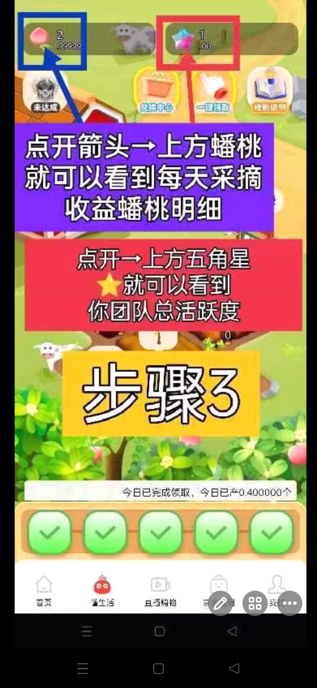 秋桔商城，首码项目，赶快上车一起薅羊毛