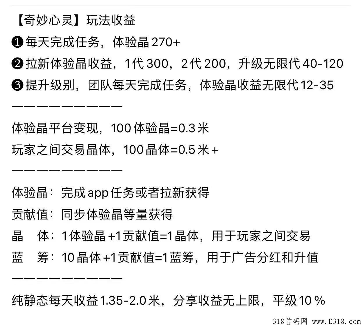 奇妙心灵社交元宇宙