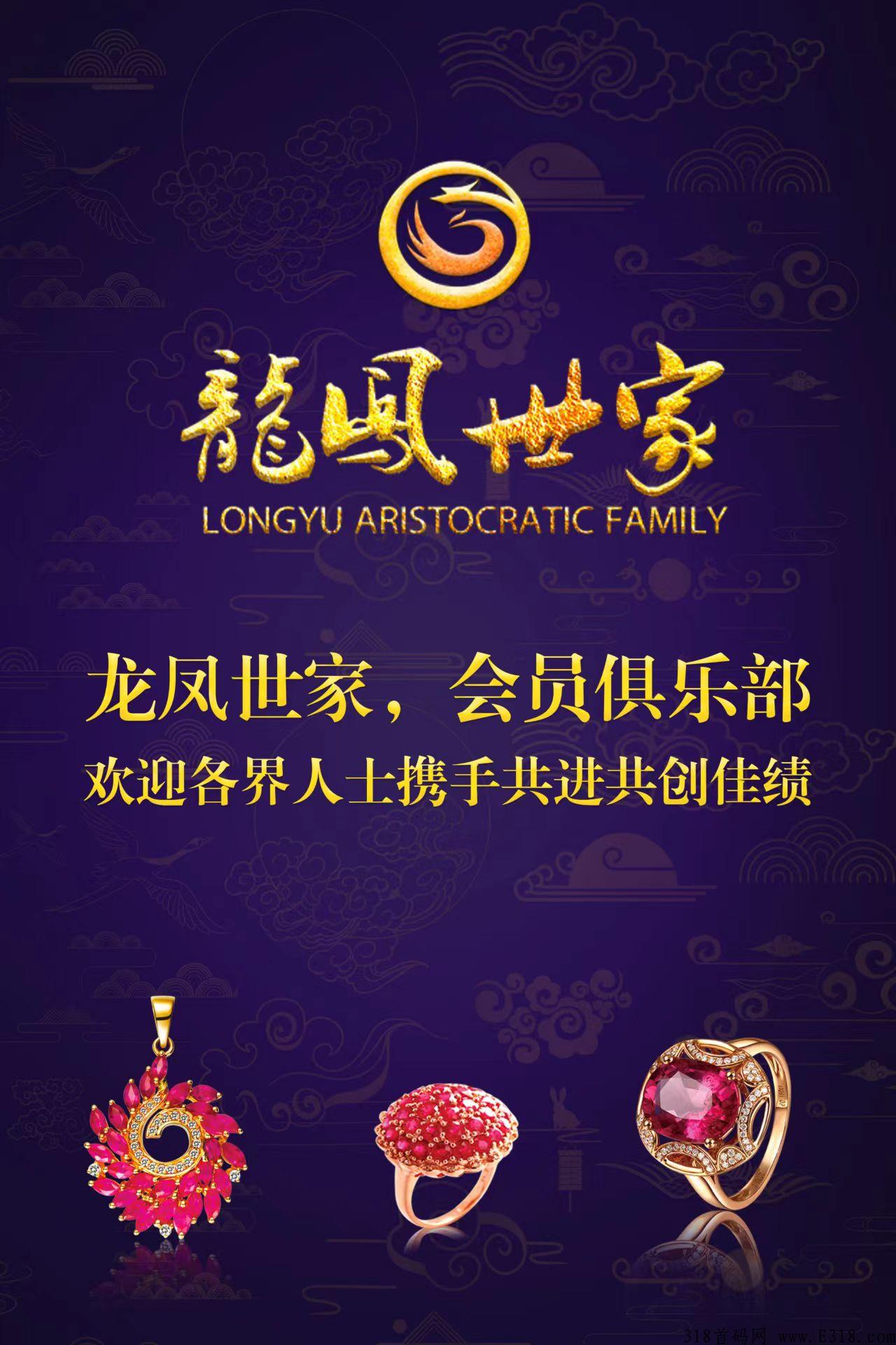【龙凤世家】全网招募有实力的大小团队！