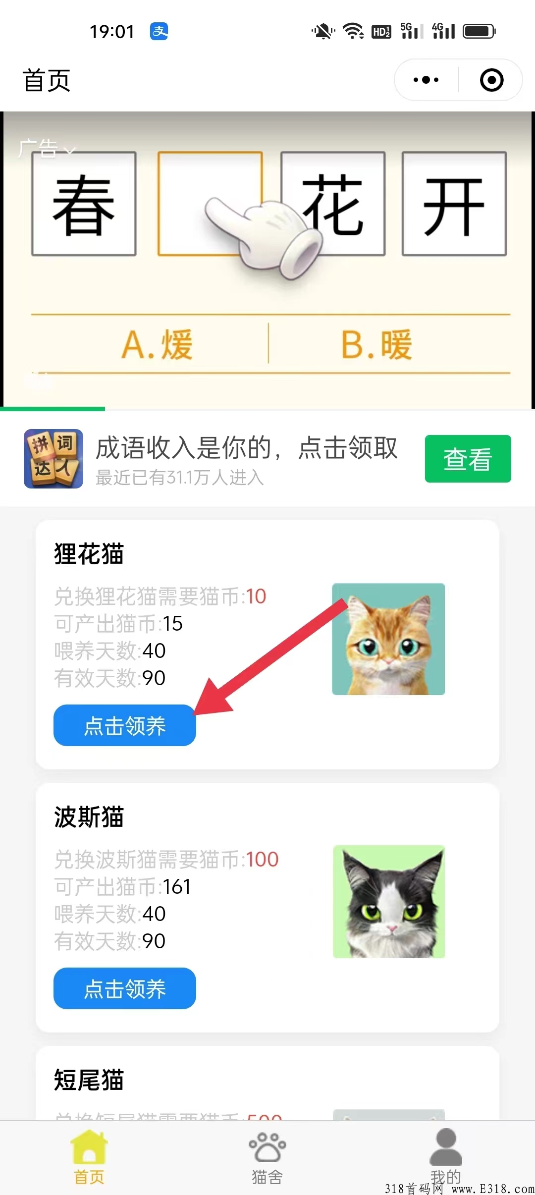 四猫，首码刚出一秒，一个起步