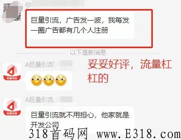 巨量引流平台，首码项目，注册免费扶持钻石站长