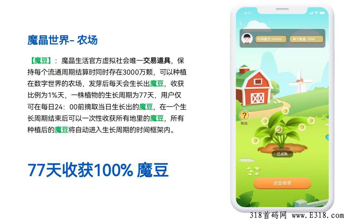 首码王者项目，魔晶商城，全网对接第一批，全网首推