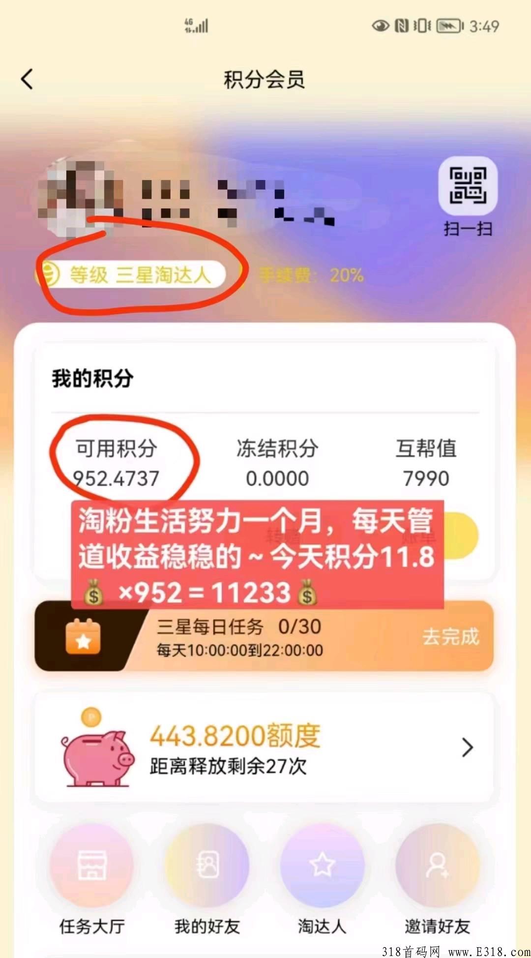 淘粉生活， 即将上线，火爆全网，上车圈地，高扶持