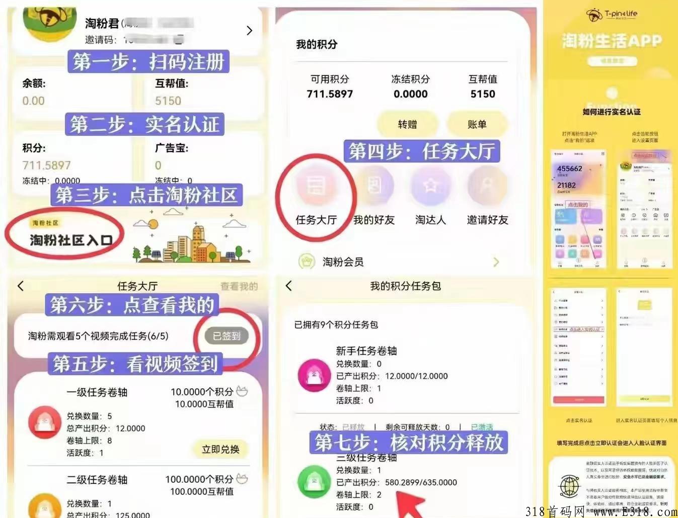 淘粉生活，不用复投就能卖，每天都涨，强势项目