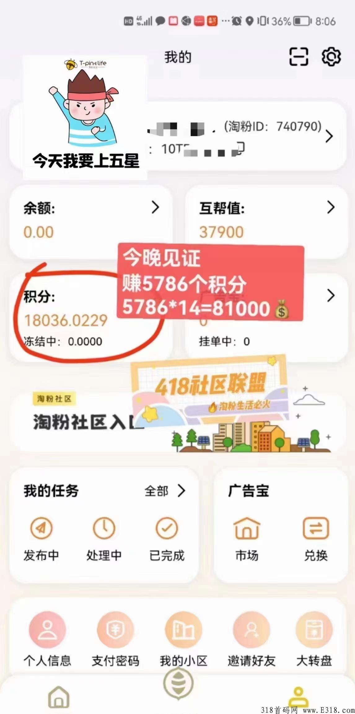 淘粉生活，不用复投就能卖，每天都涨，强势项目