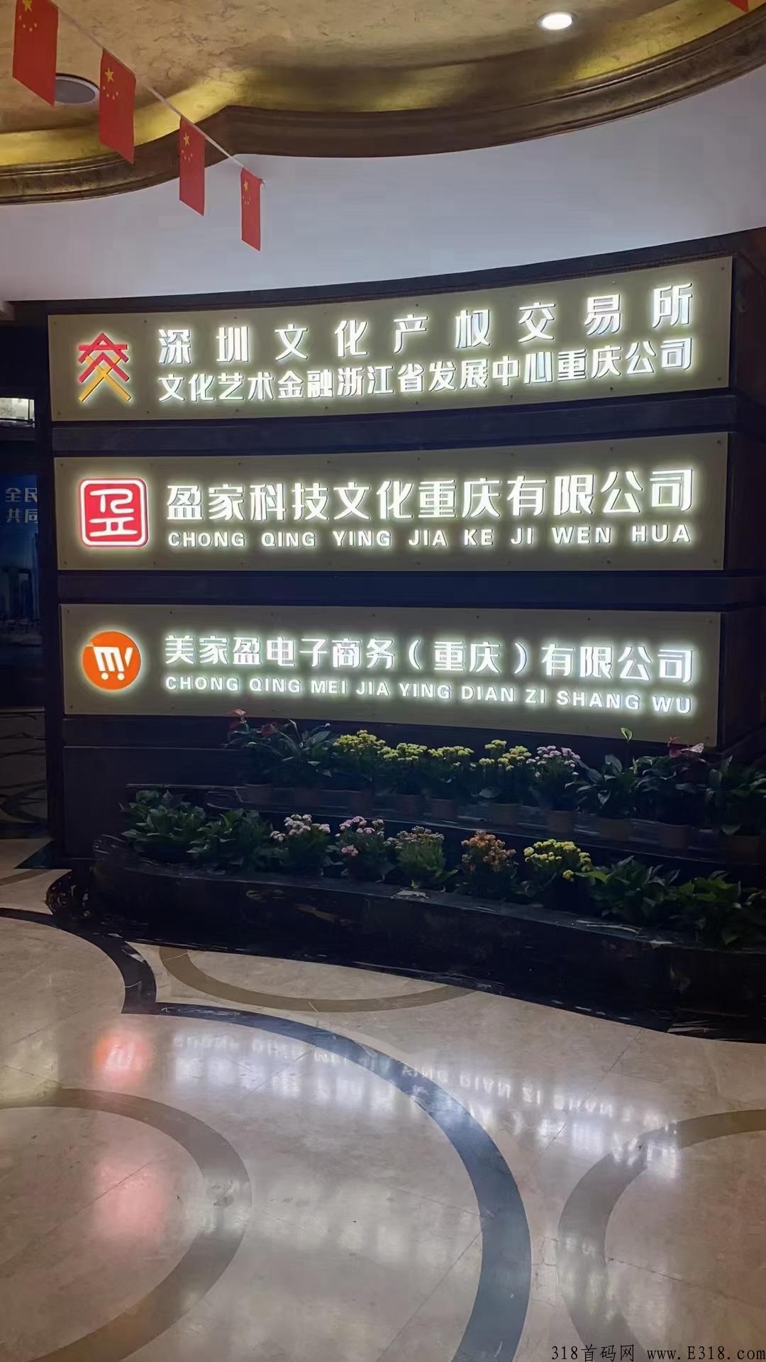 美家盈，正规公司，合法长久