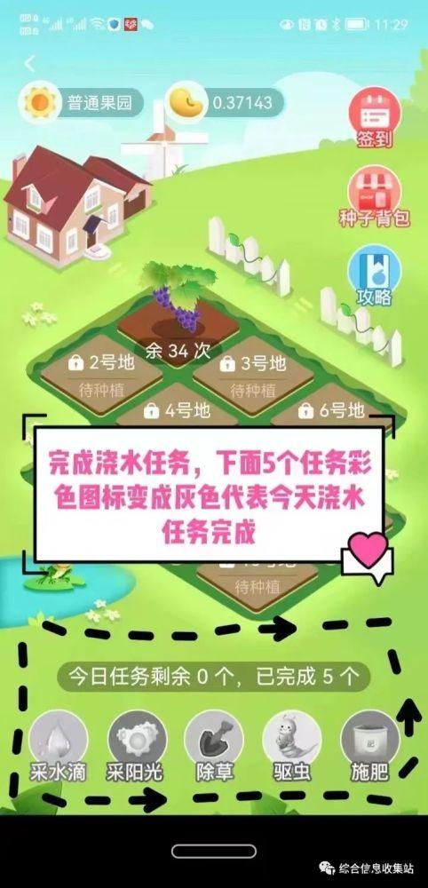 东山商城卷轴模式，实体公司，天眼可查