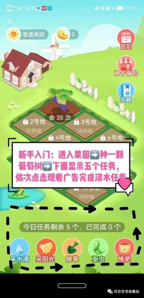 东山商城卷轴模式，实体公司，天眼可查