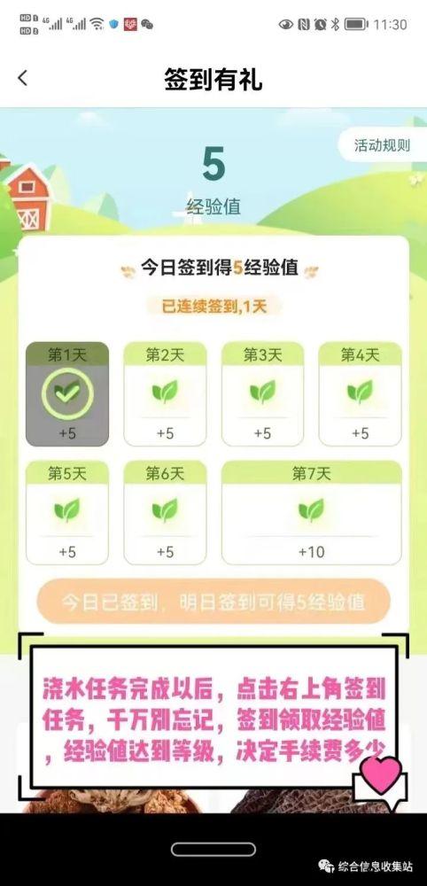 东山商城卷轴模式，实体公司，天眼可查