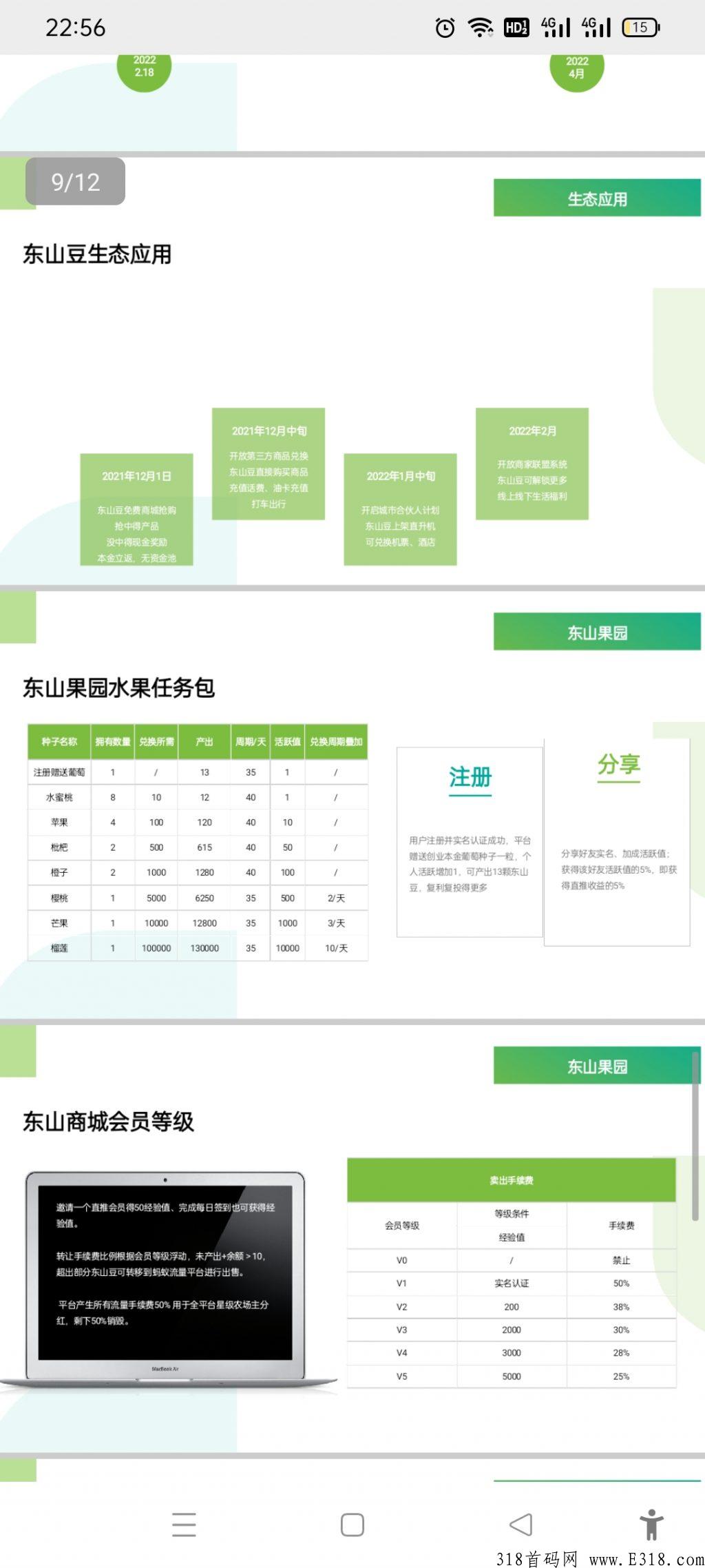 东山商城卷轴模式，实体公司，天眼可查