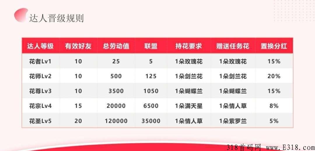 先遇社交首码，卷轴盲盒卡牌模式