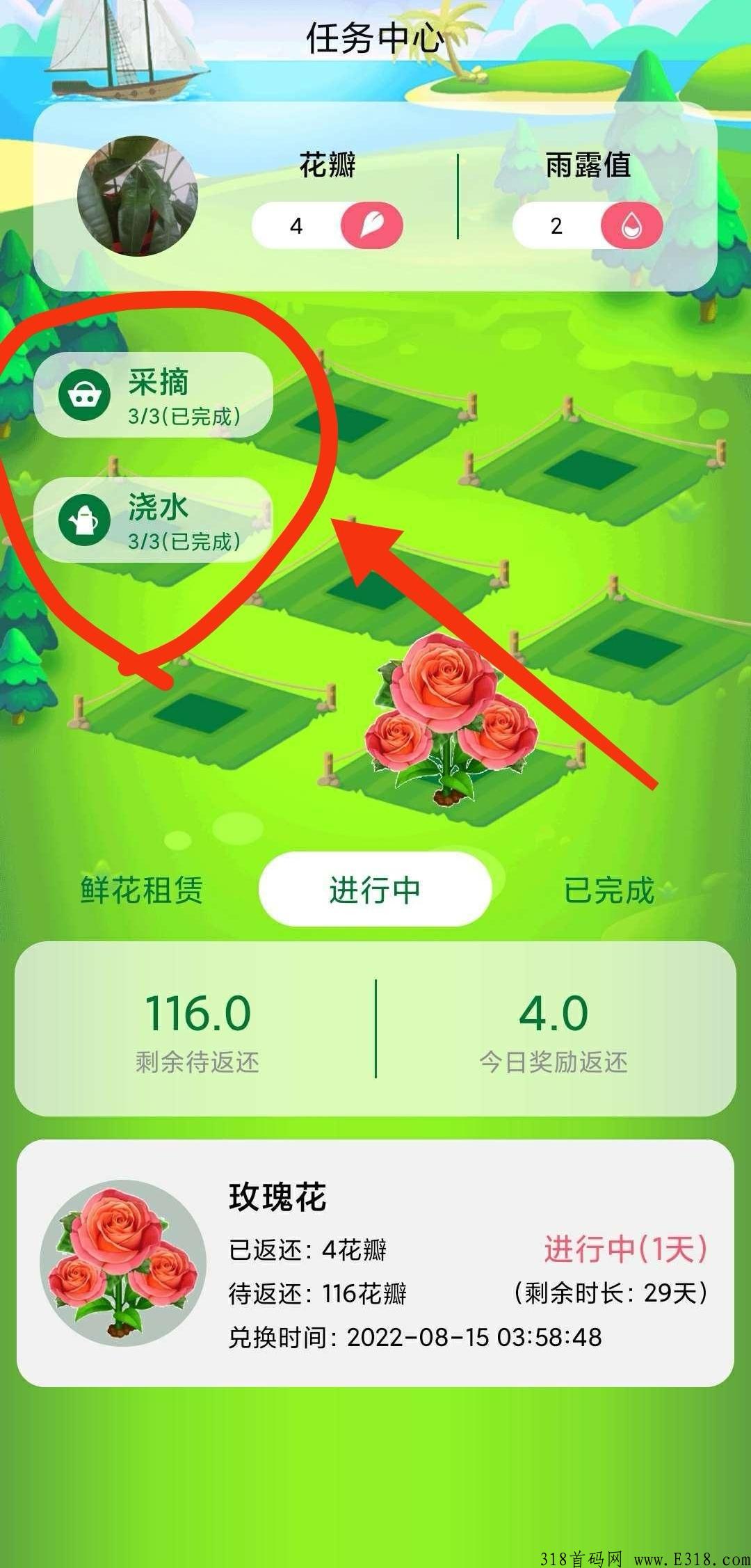 先遇社交首码，卷轴盲盒卡牌模式