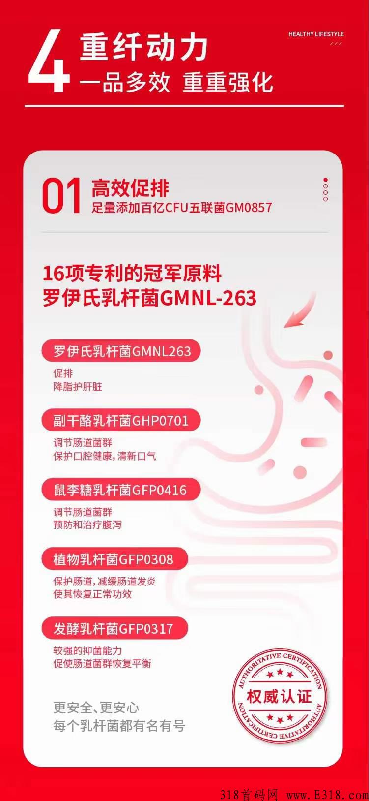 新首码项目，极暖双模式新零售创业
