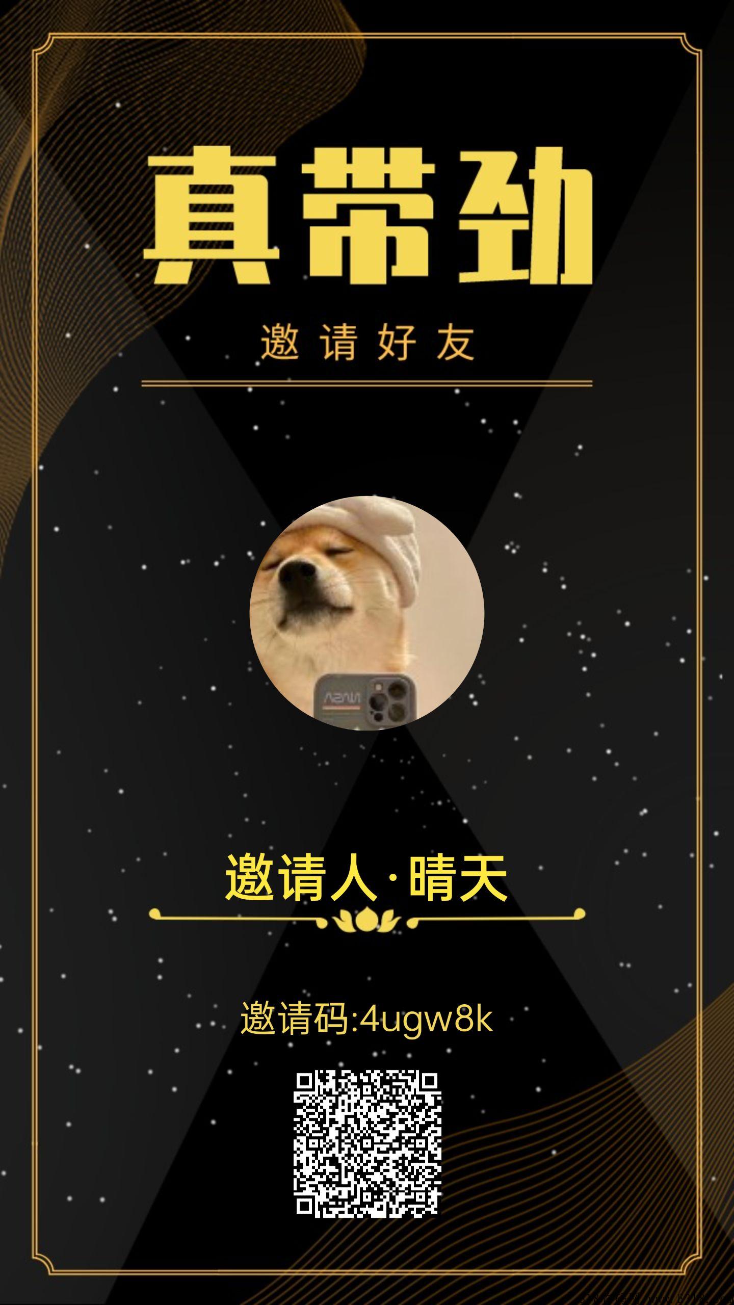 真带劲火爆项目