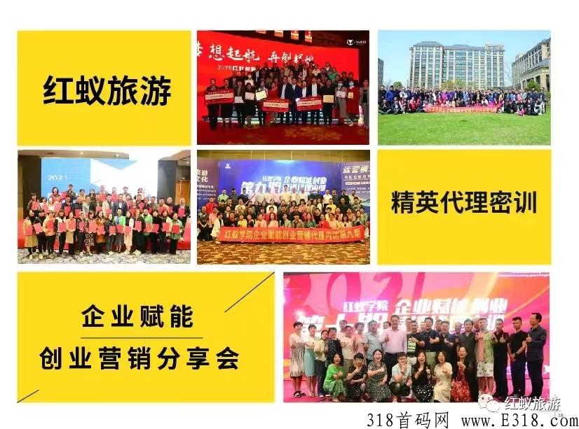 百万真人红蚁旅游内测首码