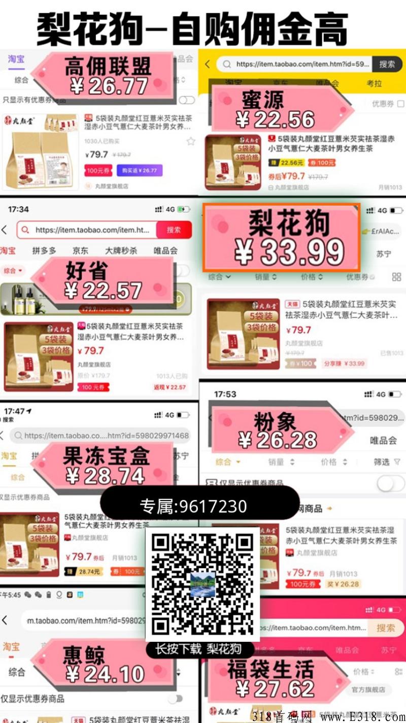 梨花狗，开启随性赚米模式