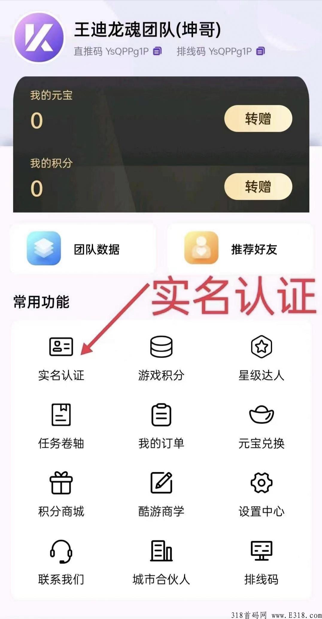 酷游项目，元宝价高