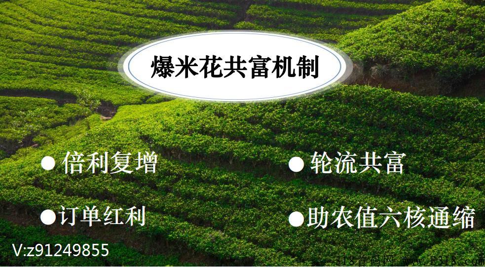 乡货出山，爆米花共富机制，政策风口项目