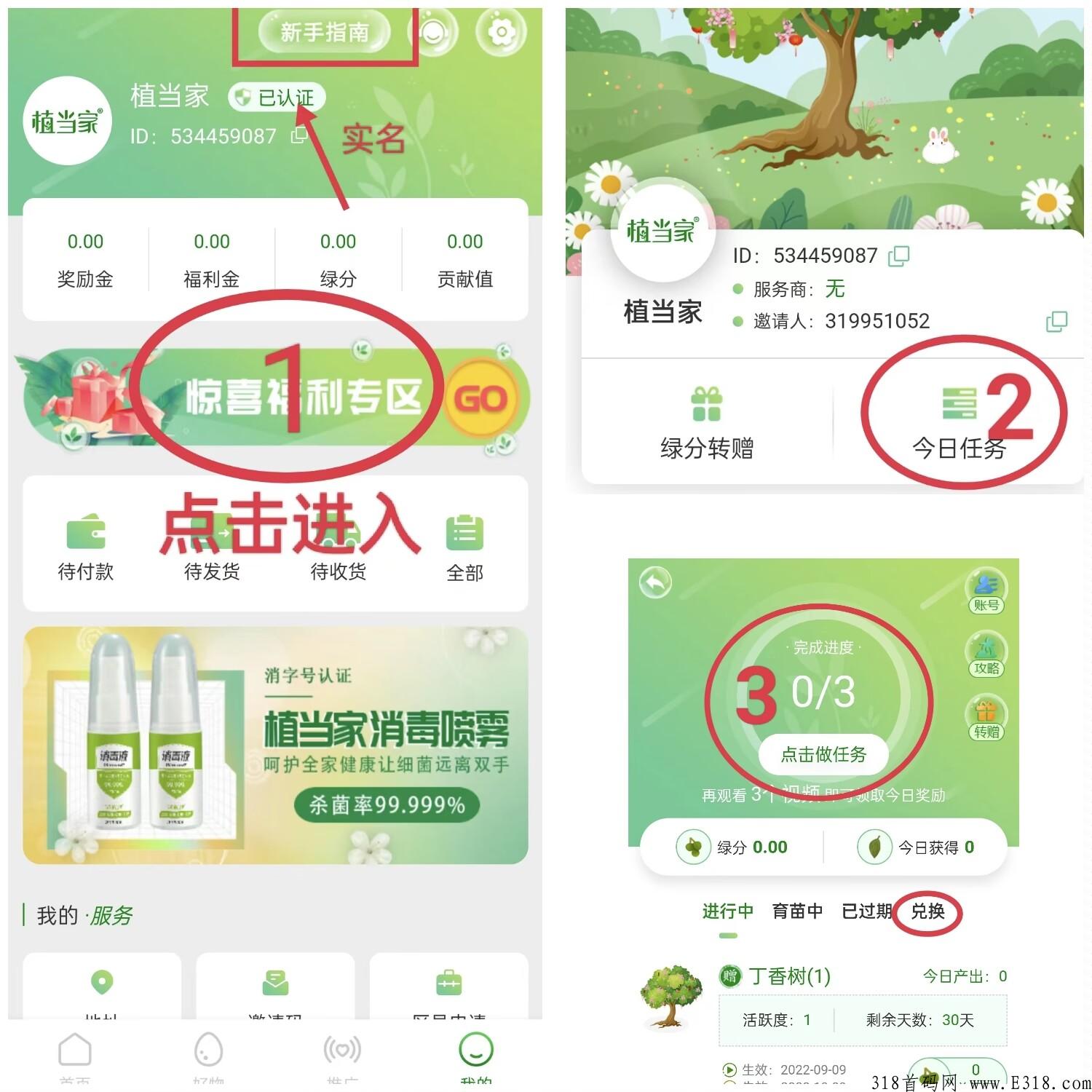刚出一秒植当家卷轴模式，10天便可复投，预计开盘价高