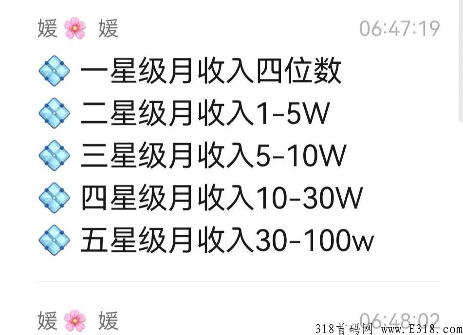 【淘粉生活】市场部招商，社区经济全新的领域，今年的黑马独角兽