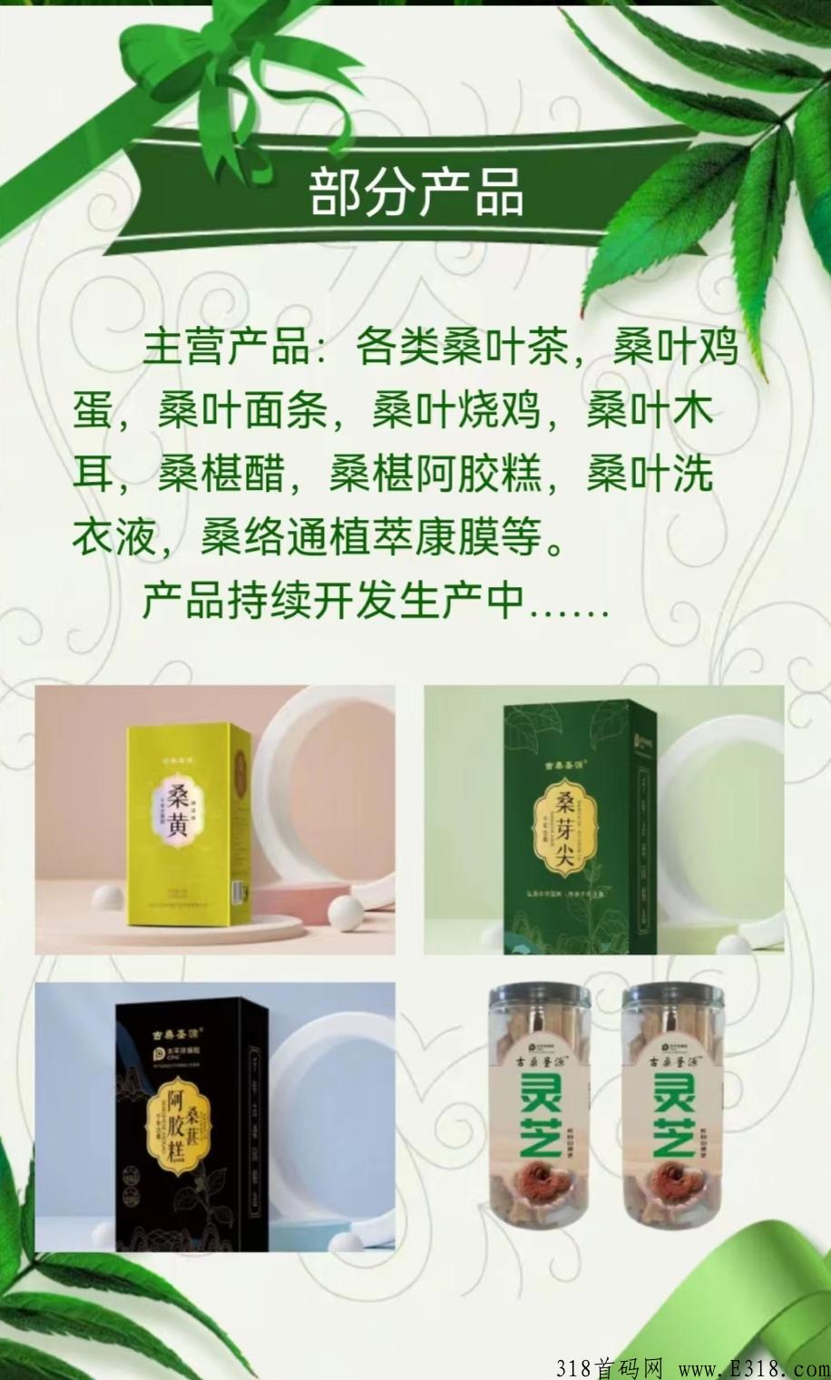 古桑园，全球首创首发，双涡轮增压裂变链动模式 9.0，即将正式上线，正在内排