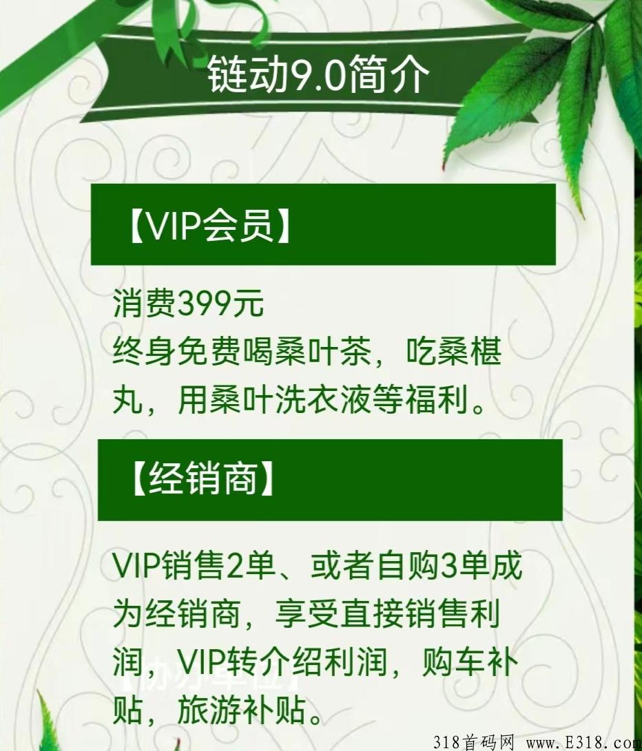 古桑园，全球首创首发，双涡轮增压裂变链动模式 9.0，即将正式上线，正在内排