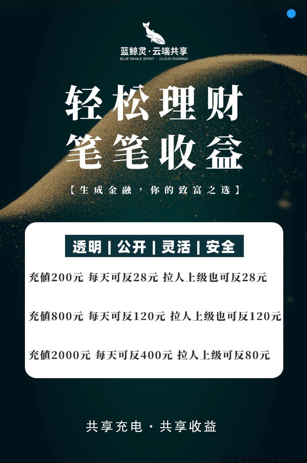 首码蓝鲸灵，美团电宝模式，中午12点正式启动