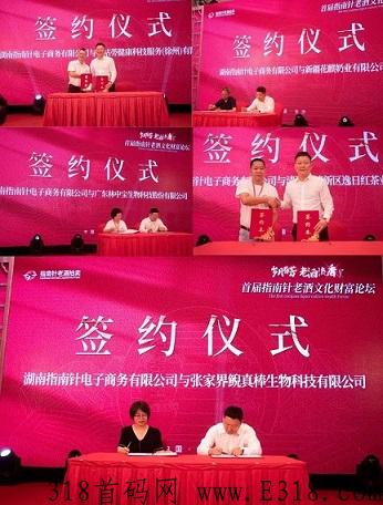 指南针老酒竞拍，爆米花共富机制，政策风口项目