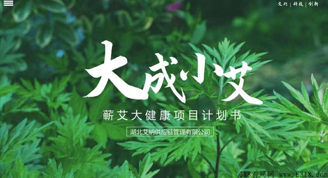 大城小爱众筹,天花板级别项目