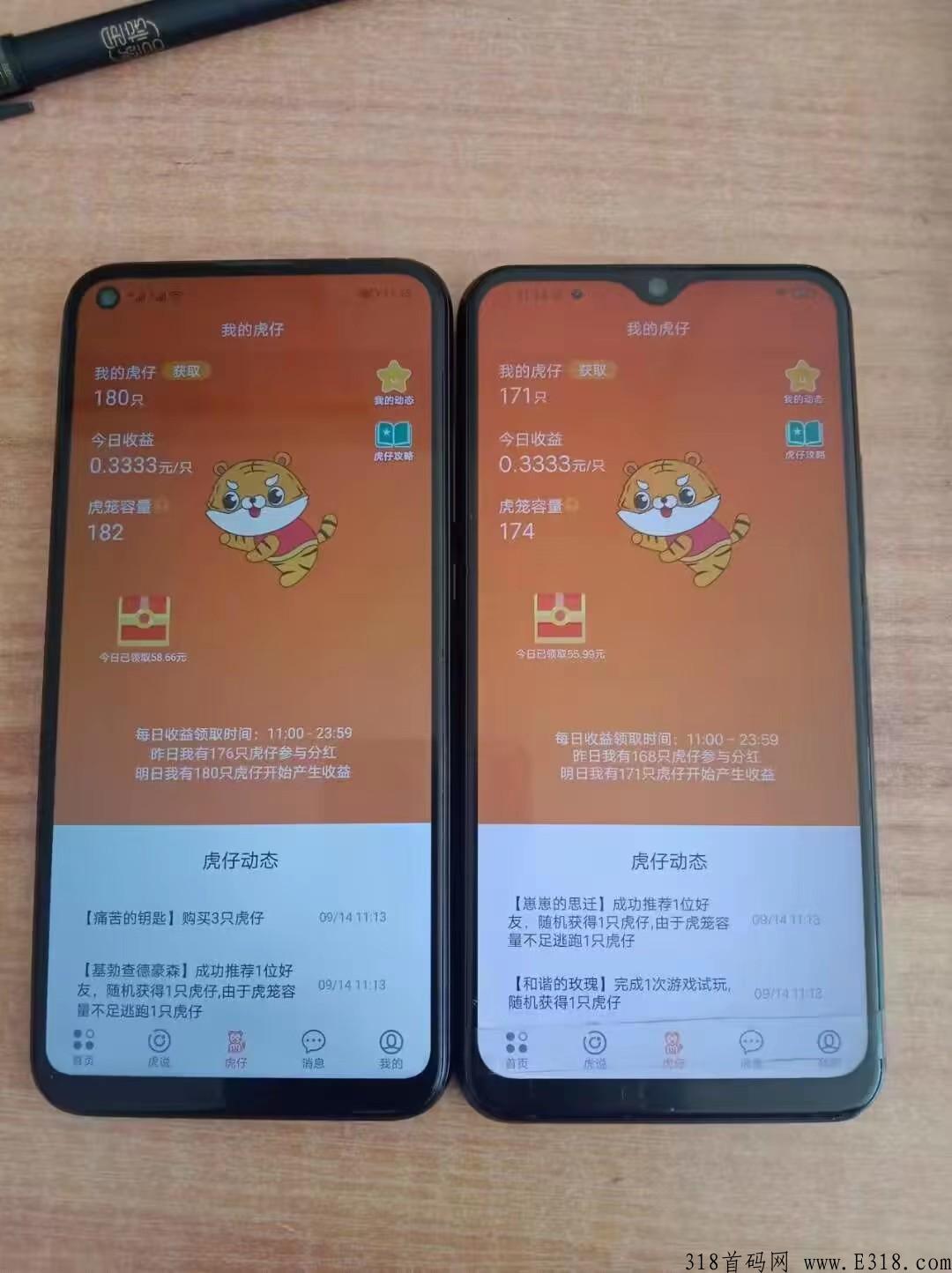 虎生生抓紧时间上车啊！早上车早吃肉！