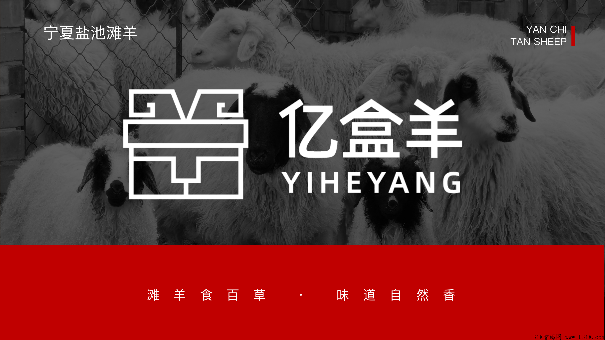 互生经济+企业积分+合算公约《亿盒羊》三合一系统带你：吃羊肉，发羊财！
