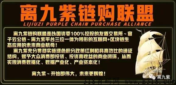 离九紫链购联盟LJZ通证商城项目，首创全新模式，全网大公排，高待遇扶持团队，对接公司市场部