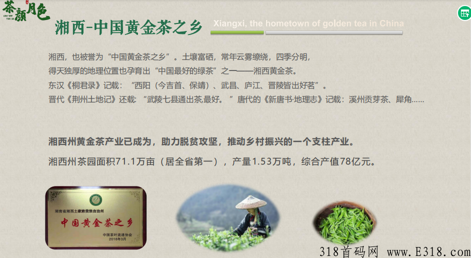 茶颜月色 神秘谷 黄金茶 茶颜月色 神秘谷 黄金茶
