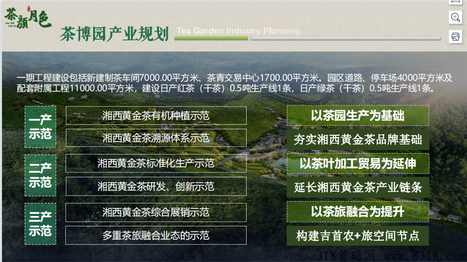 茶颜月色 神秘谷 黄金茶 茶颜月色 神秘谷 黄金茶