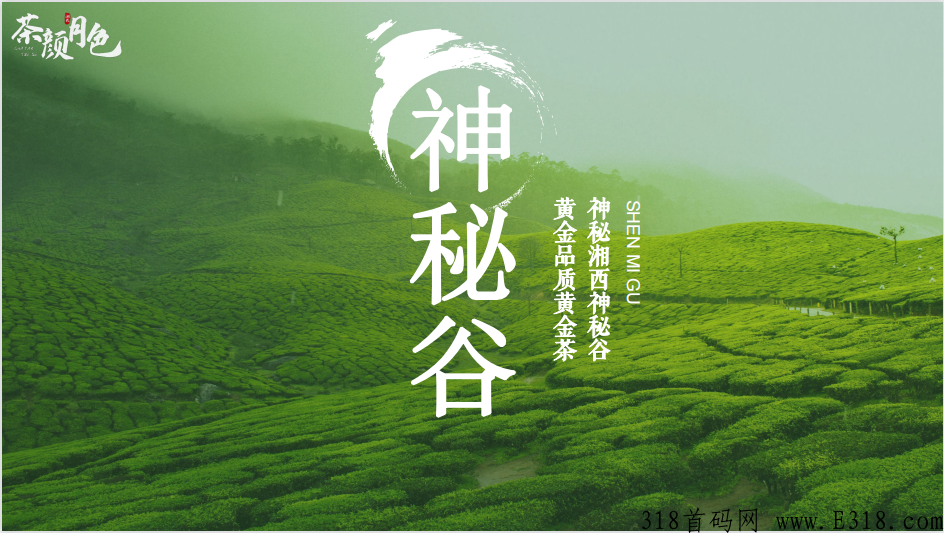 茶颜月色 神秘谷 黄金茶 茶颜月色 神秘谷 黄金茶